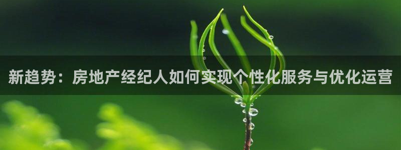 新宝5上70 667：新趋势：房地产经纪人如何实现个性化服务