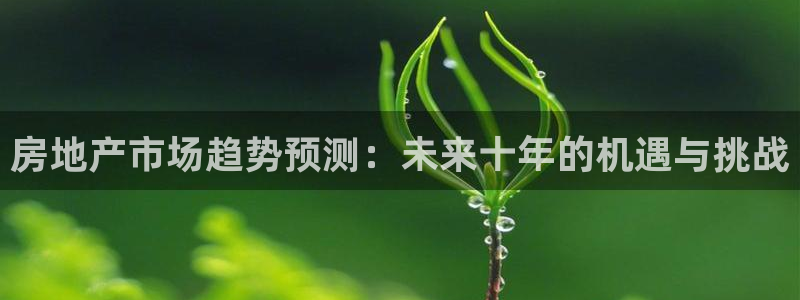 新宝5开好：房地产市场趋势预测：未来十年的机遇与挑战