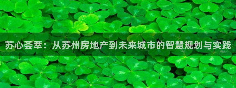 新宝5平台登陆：苏心荟萃：从苏州房地产到未来城市的智慧规划与