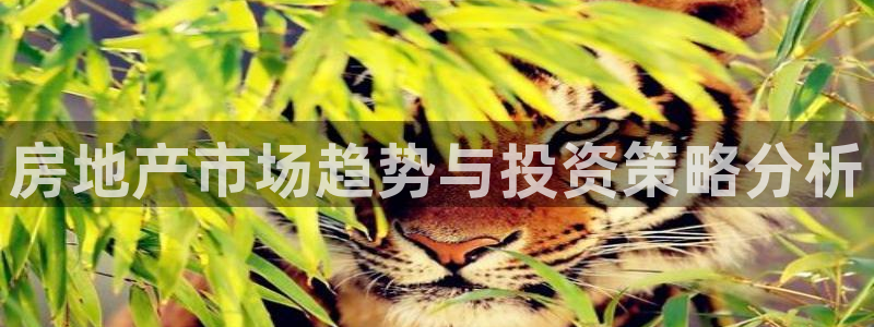 新宝5线路：房地产市场趋势与投资策略分析