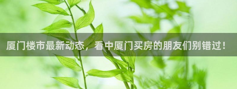新宝5娱乐如：厦门楼市最新动态，看中厦门买房的朋友们别错过！