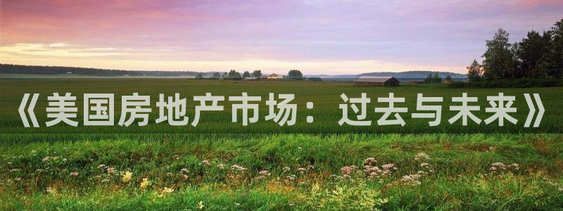 新宝rm5：《美国房地产市场：过去与未来》