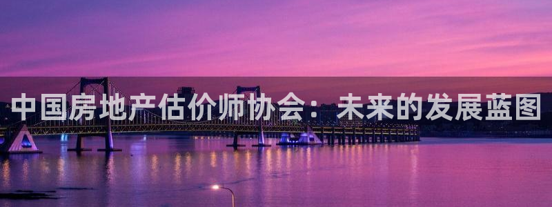 新宝5登录：中国房地产估价师协会：未来的发展蓝图
