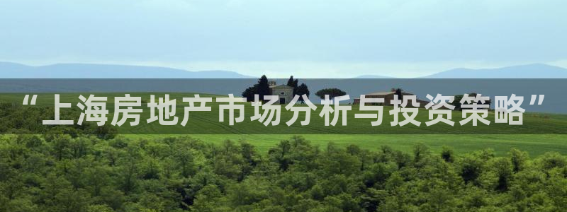 新宝rm5：“上海房地产市场分析与投资策略”