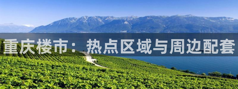 新宝5秒开：重庆楼市：热点区域与周边配套