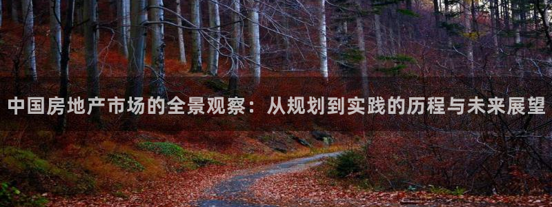 新宝5浗维33 300：中国房地产市场的全景观察：从规划到实