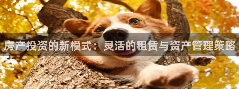 新宝cR一5：房产投资的新模式：灵活的租赁与资产管理策略