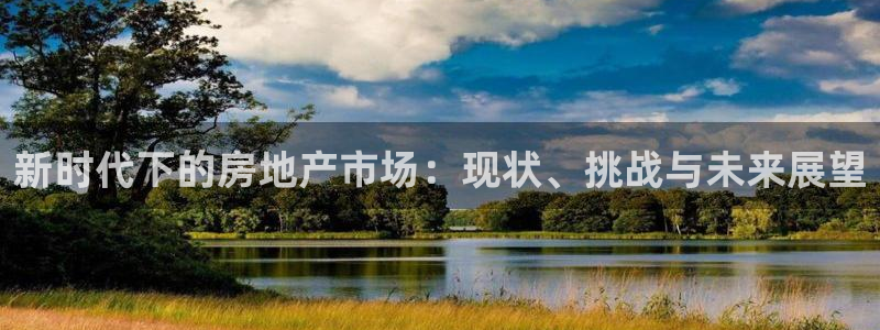 新宝5电脑：新时代下的房地产市场：现状、挑战与未来展望