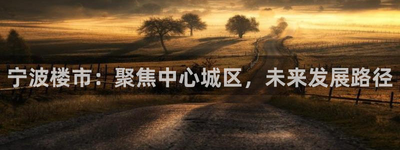 新宝5下载注册：宁波楼市：聚焦中心城区，未来发展路径