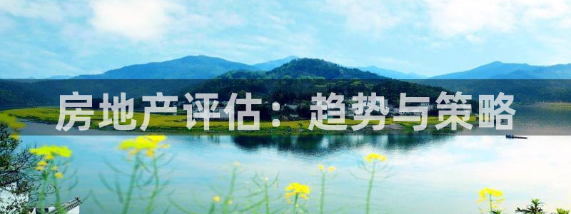 新宝5平台登录：房地产评估：趋势与策略