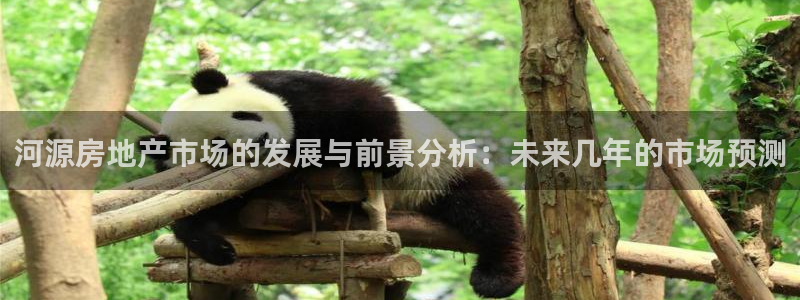 新宝5娱乐招商：河源房地产市场的发展与前景分析：未来几年的市