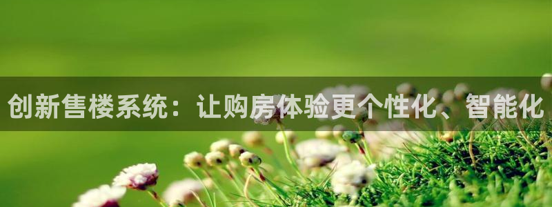 新宝5娱乐：创新售楼系统：让购房体验更个性化、智能化