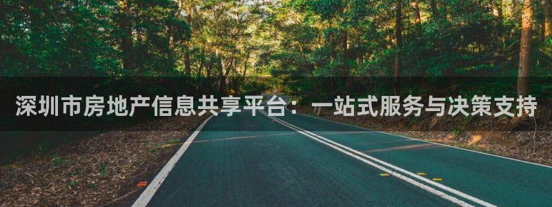 新宝5怎么代理：深圳市房地产信息共享平台：一站式服务与决策支