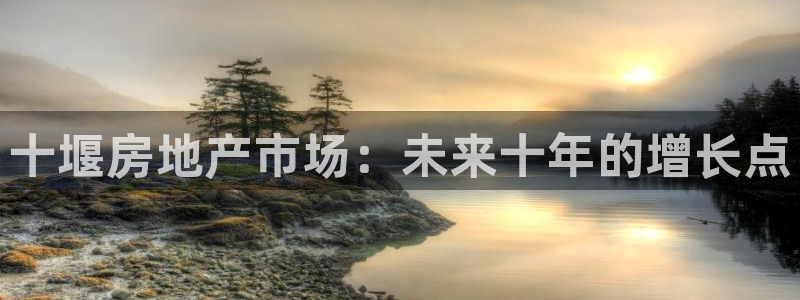 新宝5平台登录下载软件：十堰房地产市场：未来十年的增长点