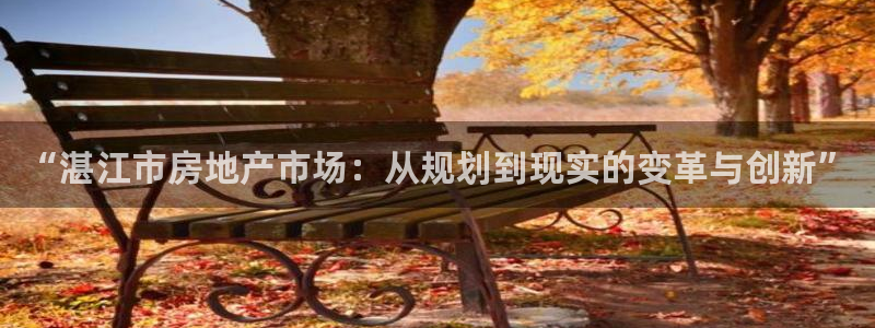 新5宝：“湛江市房地产市场：从规划到现实的变革与创新”