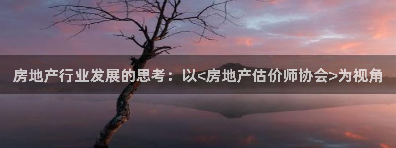 新宝5 测速：房地产行业发展的思考：以<房地产估价师协会>为