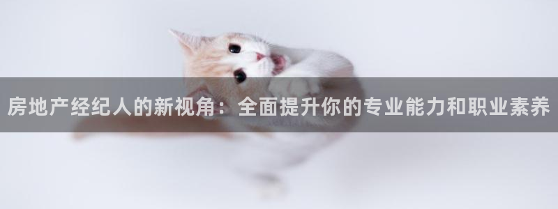 新宝5娱乐多：房地产经纪人的新视角：全面提升你的专业能力和职