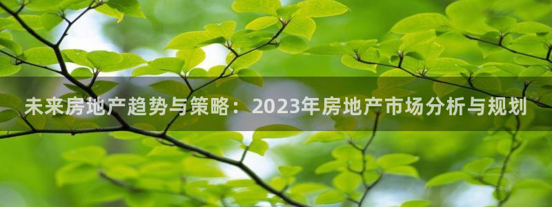 新宝5浗维33 300：未来房地产趋势与策略：2023年房地