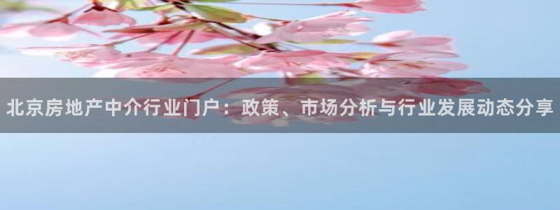 新宝5代理注册：北京房地产中介行业门户：政策、市场分析与行业