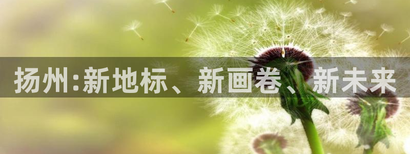 新宝5-测速：扬州:新地标、新画卷、新未来