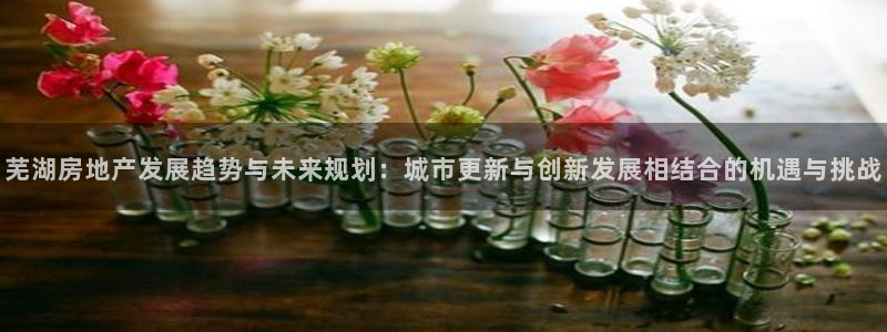 i新宝5：芜湖房地产发展趋势与未来规划：城市更新与创新发展相