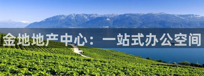 新宝股东张听2 5 5：金地地产中心：一站式办公空间