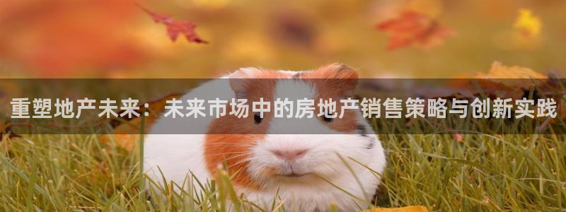 新宝5登录测速中心：重塑地产未来：未来市场中的房地产销售策略