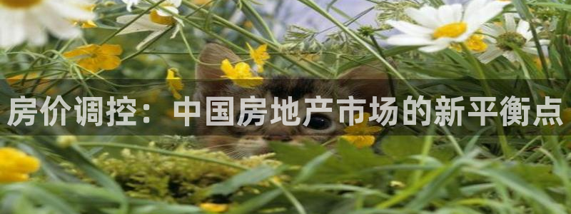 新宝m2O5O5O：房价调控：中国房地产市场的新平衡点