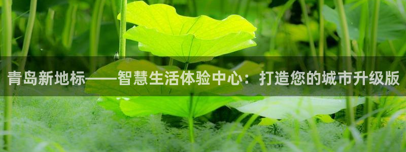 新宝5测速在线：青岛新地标——智慧生活体验中心：打造您的城市