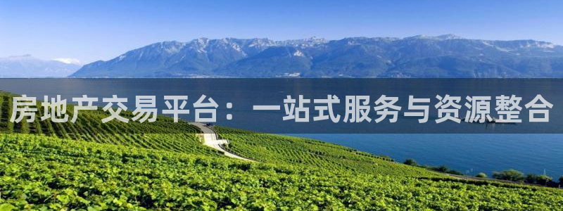 新宝5平台登录注册：房地产交易平台：一站式服务与资源整合