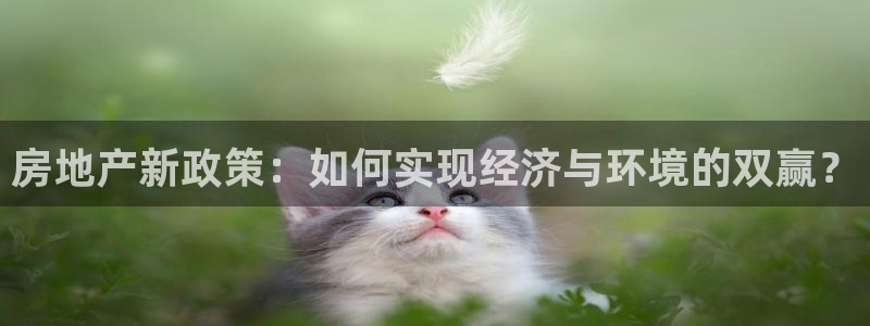 新宝5平台咋样：房地产新政策：如何实现经济与环境的双赢？