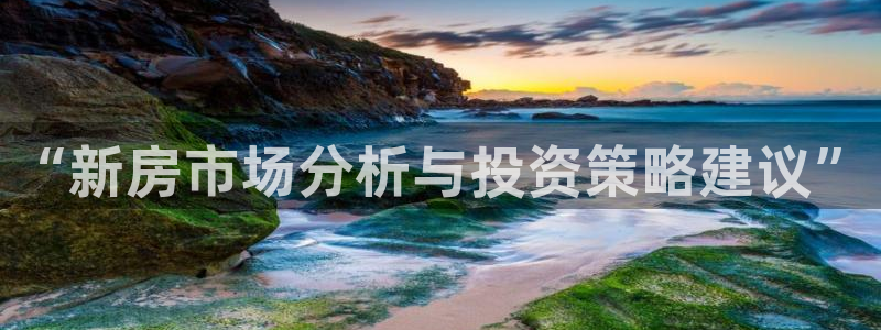 新宝奇迹GG5：“新房市场分析与投资策略建议”