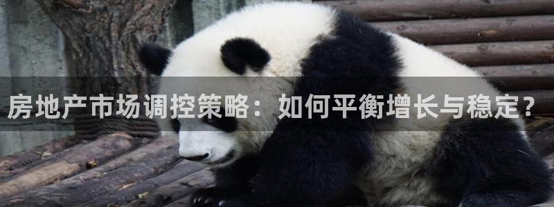 新宝5手机登陆：房地产市场调控策略：如何平衡增长与稳定？