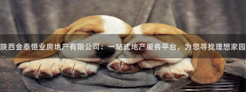新宝5开户：陕西金泰恒业房地产有限公司：一站式地产服务平台，