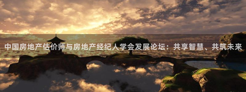 新宝5娱乐同：中国房地产估价师与房地产经纪人学会发展论坛：共