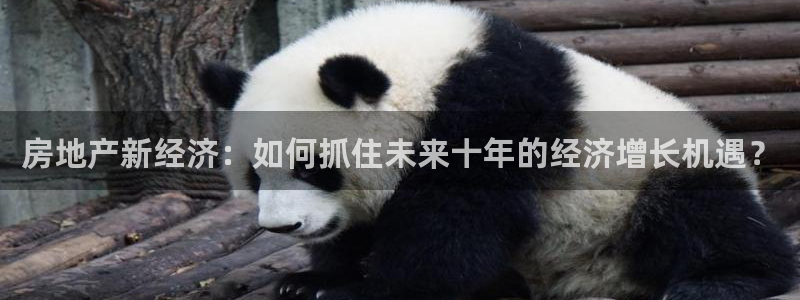 新宝5线路登录检测：房地产新经济：如何抓住未来十年的经济增长