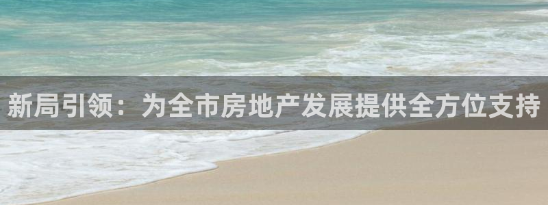 新宝5为啥开：新局引领：为全市房地产发展提供全方位支持