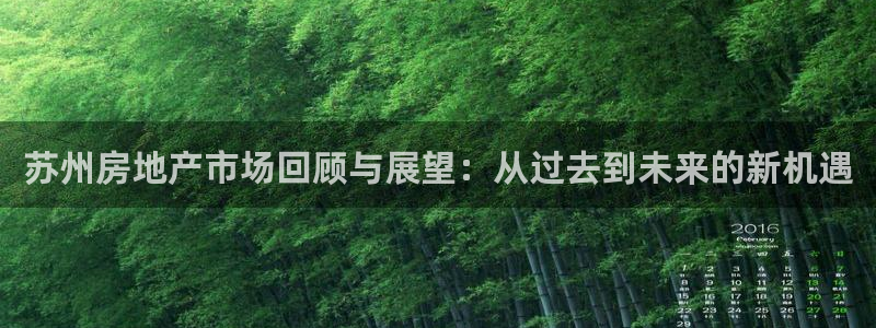 新宝5苹果手机下载：苏州房地产市场回顾与展望：从过去到未来的