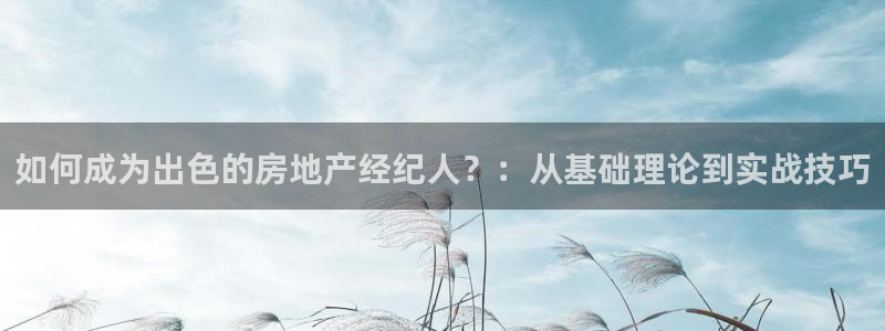新宝5如何注册：如何成为出色的房地产经纪人？：从基础理论到实