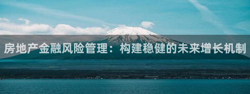 新宝5手机登陆：房地产金融风险管理：构建稳健的未来增长机制