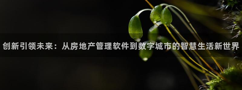 新宝5娱乐如：创新引领未来：从房地产管理软件到数字城市的智慧