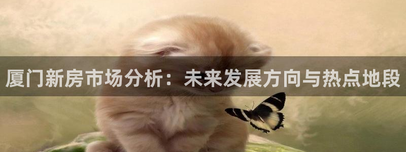 新宝5彩票是正规平台吗：厦门新房市场分析：未来发展方向与热点