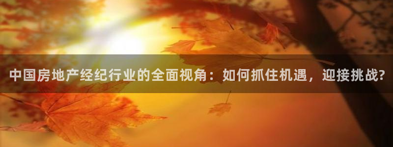新宝5测速在线：中国房地产经纪行业的全面视角：如何抓住机遇，