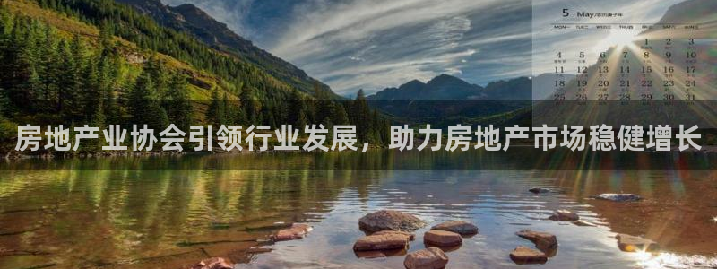 新宝5软件下载：房地产业协会引领行业发展，助力房地产市场稳健