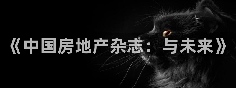 新宝奇迹GG5：《中国房地产杂志：与未来》