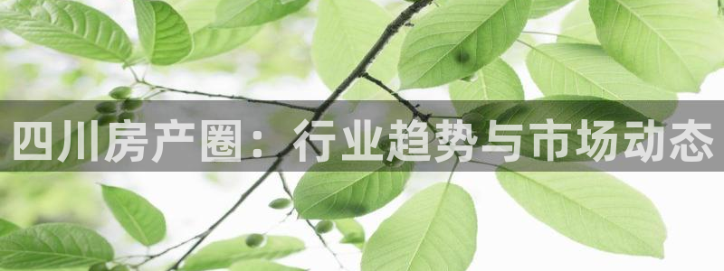 新宝5娱乐同：四川房产圈：行业趋势与市场动态