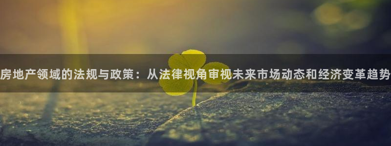 新宝5球维33 300：房地产领域的法规与政策：从法律视角审
