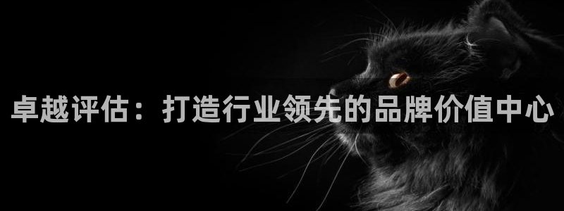 新宝5官网：卓越评估：打造行业领先的品牌价值中心