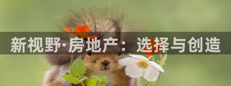 老新宝5授权登录：新视野·房地产：选择与创造
