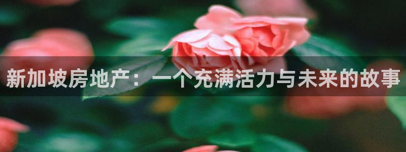 新宝5账号注册：新加坡房地产：一个充满活力与未来的故事